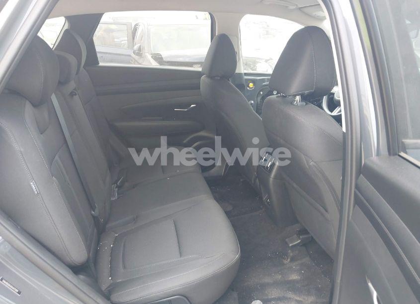 Photo 8 of 2025 Hyundai Tucson SEL (VIN 5NMJB3DE4SH479399)