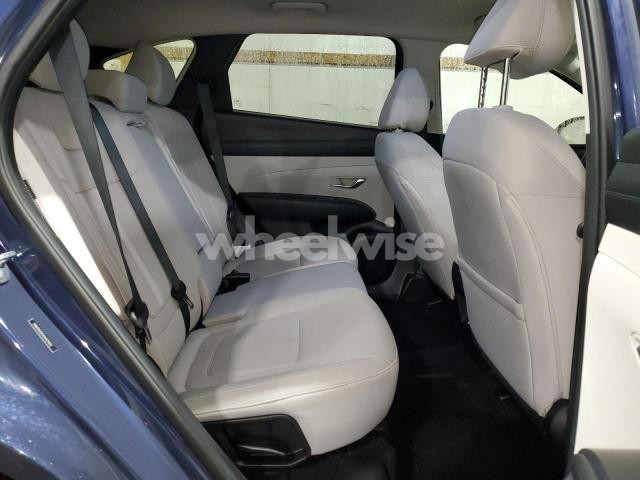 Photo 12 of 2025 HYUNDAI TUCSON SEL (VIN 5NMJB3DE4SH529833)
