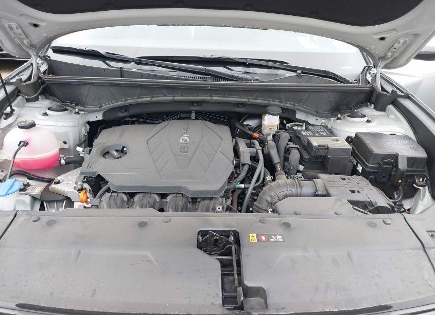 Photo 10 of 2024 Hyundai Tucson SEL (VIN 5NMJB3DE5RH297446)