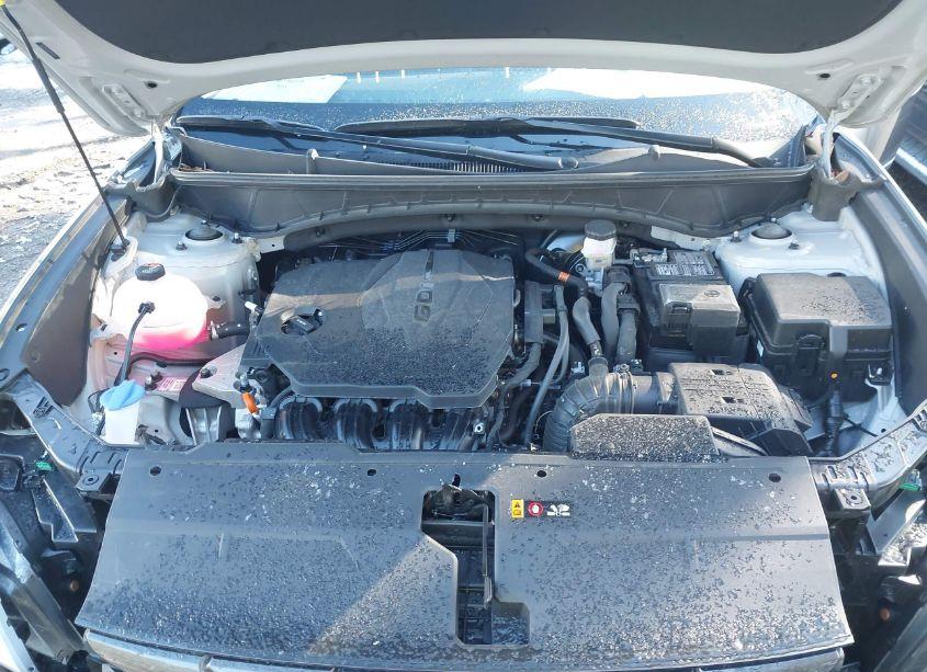 Photo 10 of 2024 Hyundai Tucson SEL (VIN 5NMJB3DE5RH362103)