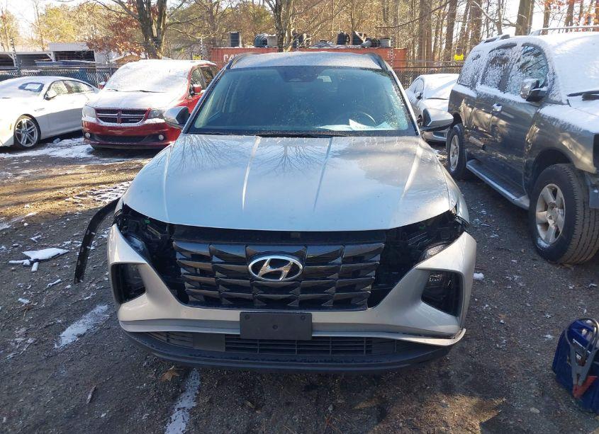 Photo 12 of 2024 Hyundai Tucson SEL (VIN 5NMJB3DE5RH362103)