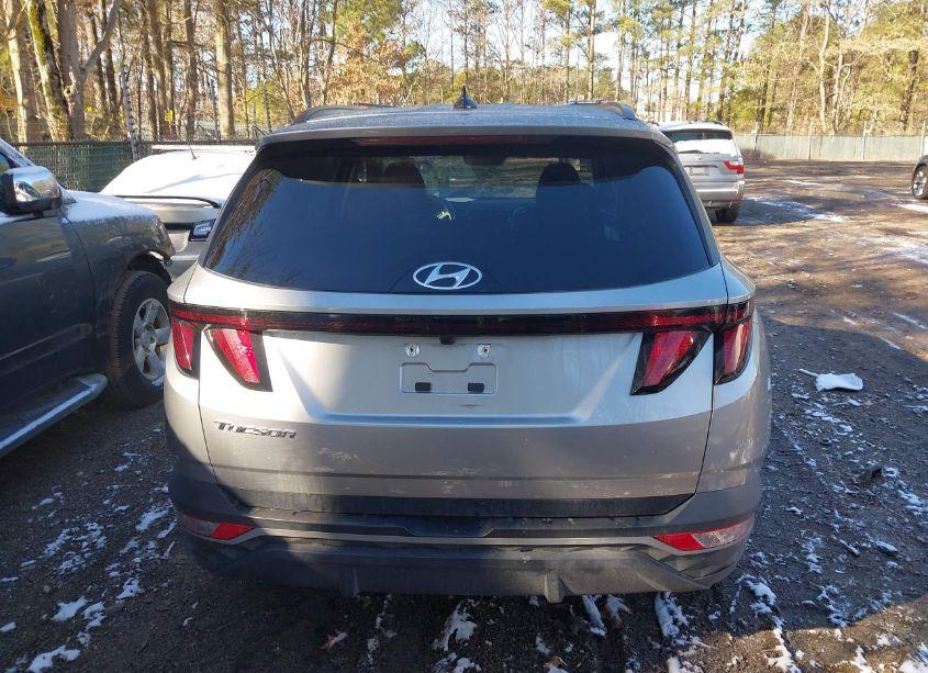 Photo 16 of 2024 Hyundai Tucson SEL (VIN 5NMJB3DE5RH362103)