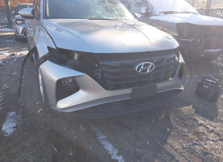 Photo 6 of 2024 Hyundai Tucson SEL (VIN 5NMJB3DE5RH362103)