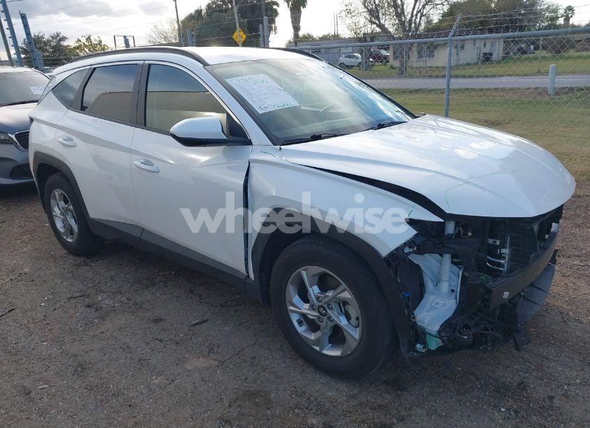 2024 Hyundai Tucson SEL (VIN 5NMJB3DE5RH371478) main photo