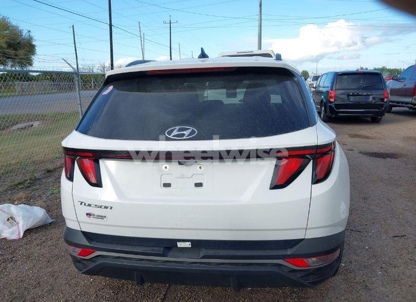 Photo 17 of 2024 Hyundai Tucson SEL (VIN 5NMJB3DE5RH371478)
