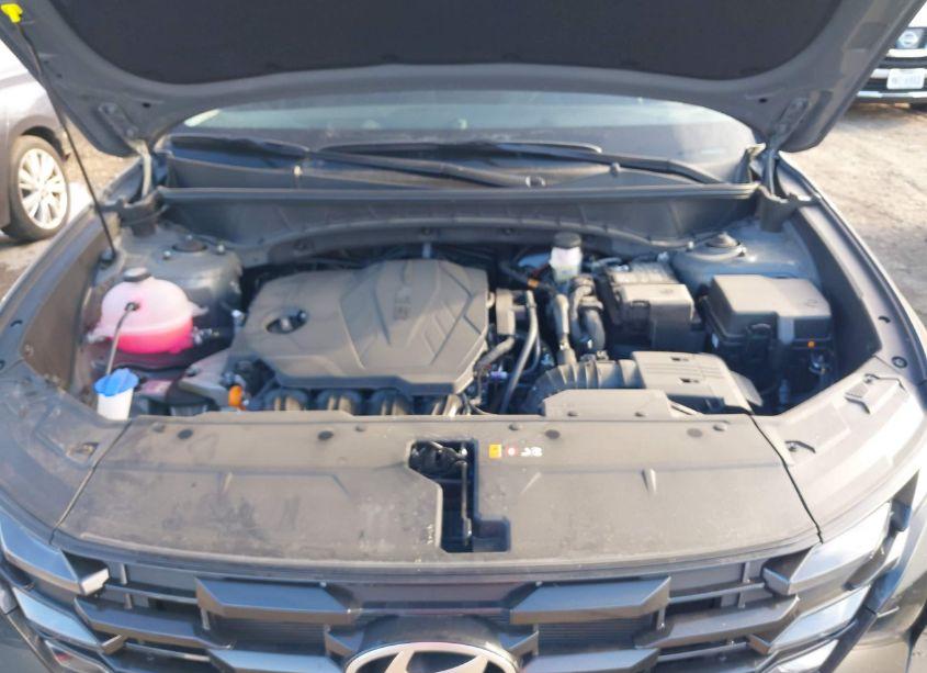 Photo 10 of 2025 Hyundai Tucson SEL (VIN 5NMJB3DE5SH460201)