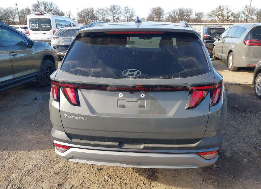 Photo 16 of 2025 Hyundai Tucson SEL (VIN 5NMJB3DE5SH460201)
