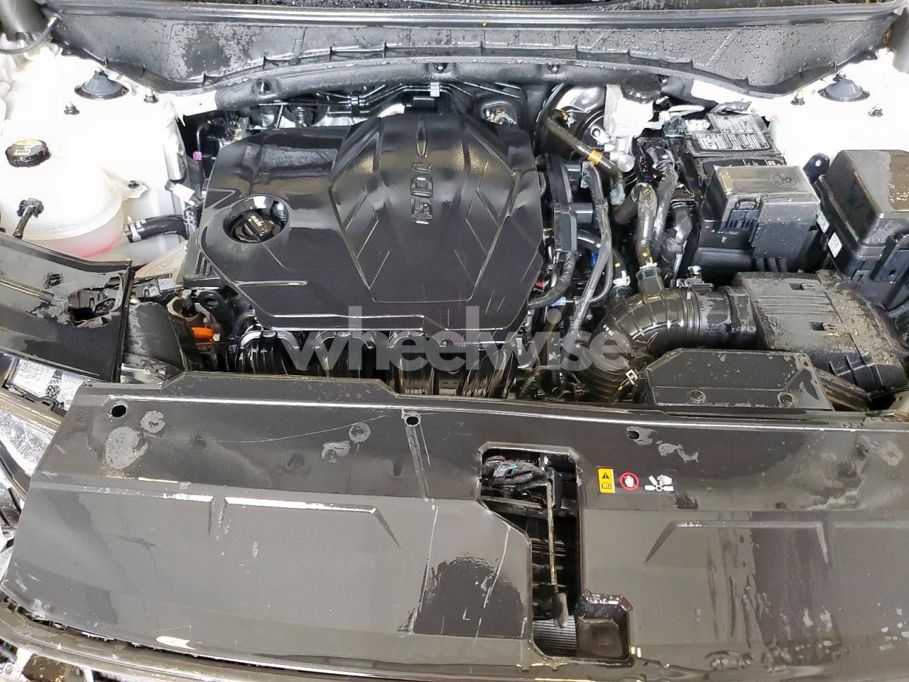 Photo 11 of 2025 HYUNDAI TUCSON SEL (VIN 5NMJB3DE5SH476947)