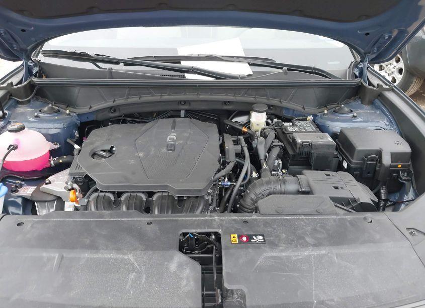 Photo 10 of 2025 Hyundai Tucson SEL (VIN 5NMJB3DE5SH478990)