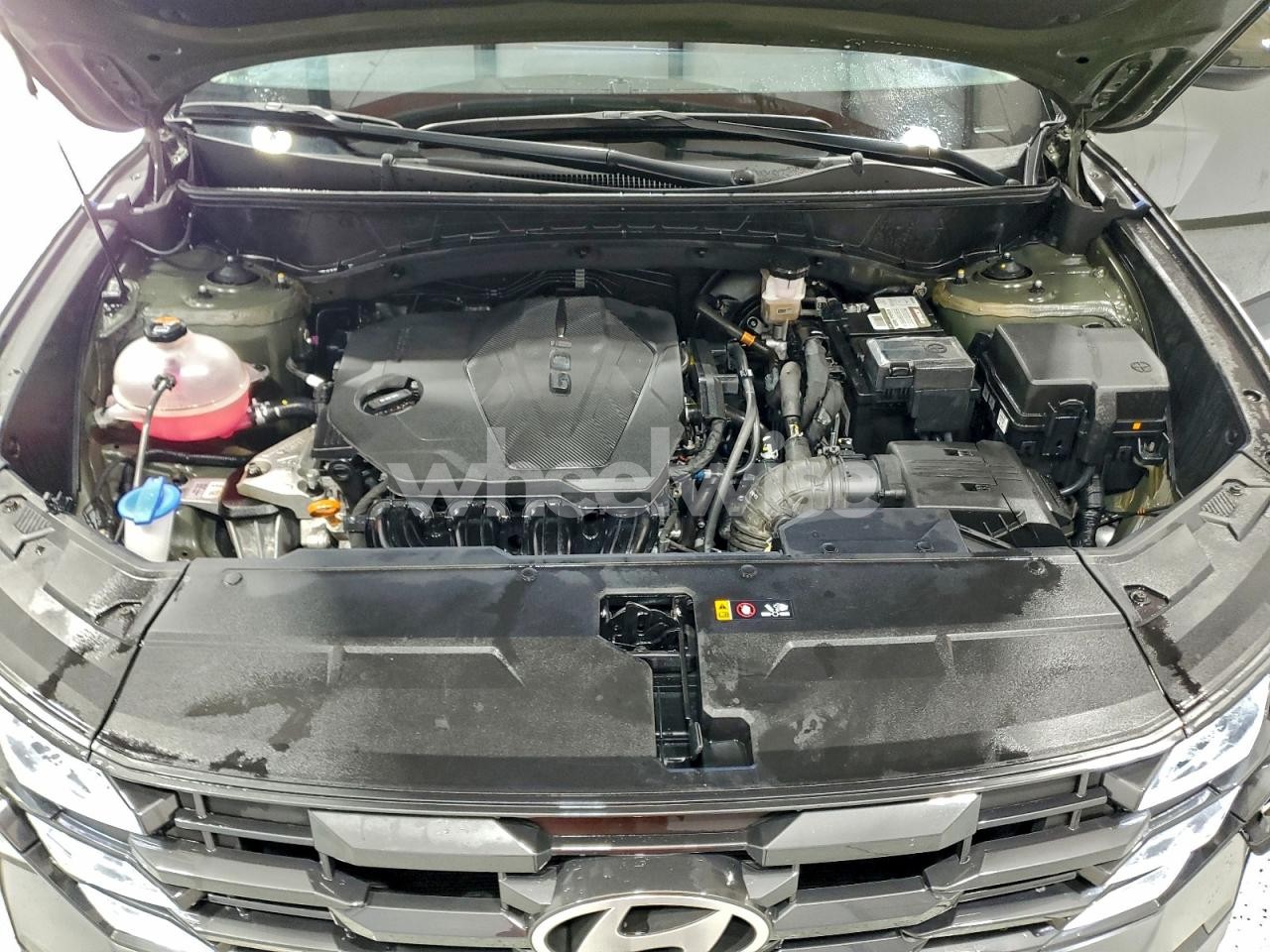 Photo 12 of 2025 HYUNDAI TUCSON SEL (VIN 5NMJB3DE5SH480447)