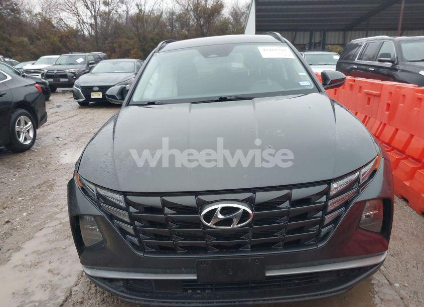 Photo 11 of 2024 Hyundai Tucson SEL (VIN 5NMJB3DE6RH310205)