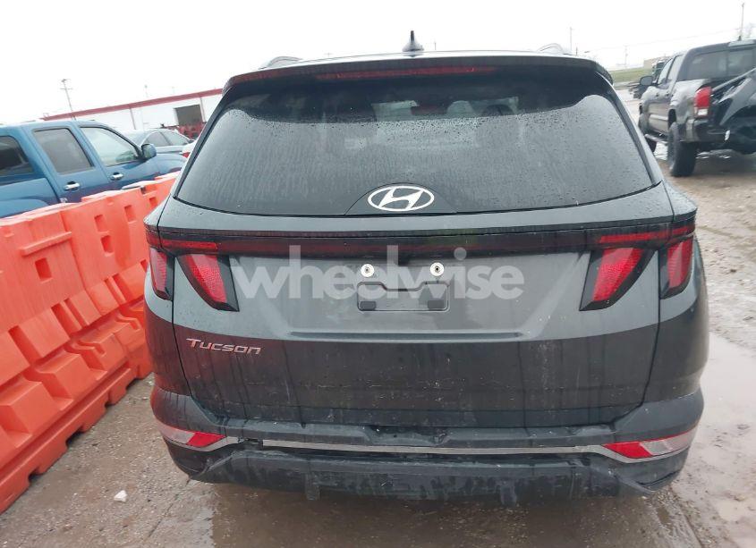Photo 15 of 2024 Hyundai Tucson SEL (VIN 5NMJB3DE6RH310205)