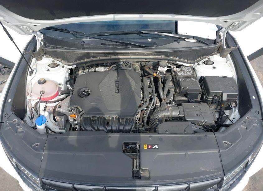 Photo 10 of 2024 Hyundai Tucson SEL (VIN 5NMJB3DE6RH335010)