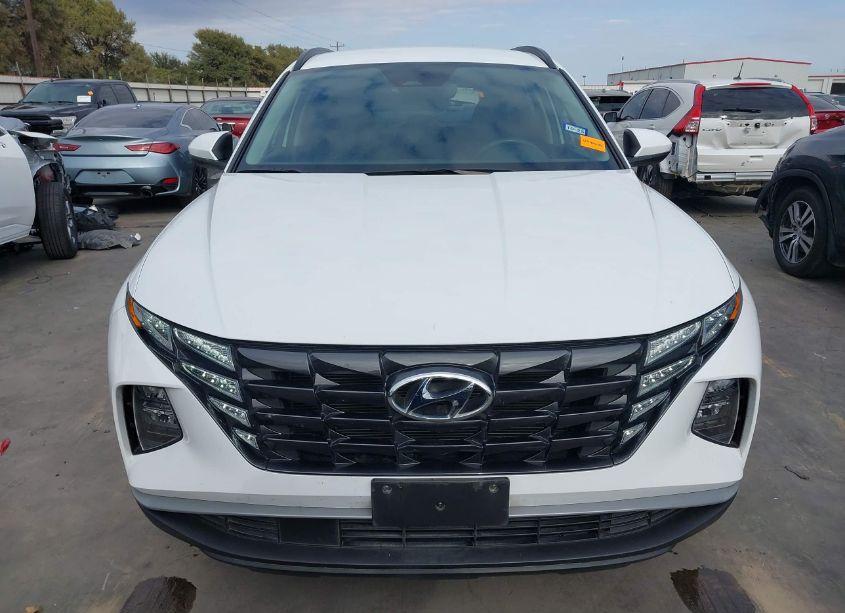 Photo 13 of 2024 Hyundai Tucson SEL (VIN 5NMJB3DE6RH335010)