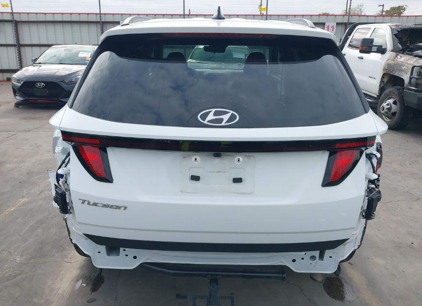 Photo 17 of 2024 Hyundai Tucson SEL (VIN 5NMJB3DE6RH335010)