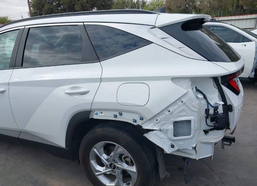 Photo 19 of 2024 Hyundai Tucson SEL (VIN 5NMJB3DE6RH335010)