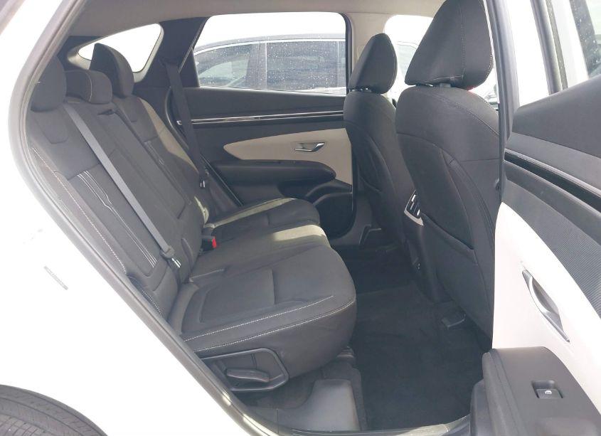 Photo 8 of 2024 Hyundai Tucson SEL (VIN 5NMJB3DE6RH335010)