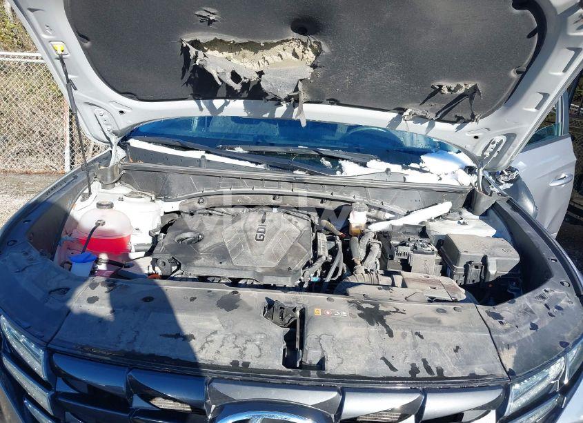 Photo 10 of 2024 Hyundai Tucson SEL (VIN 5NMJB3DE6RH344144)