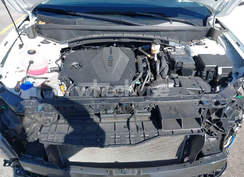 Photo 10 of 2024 Hyundai Tucson SEL (VIN 5NMJB3DE6RH362482)