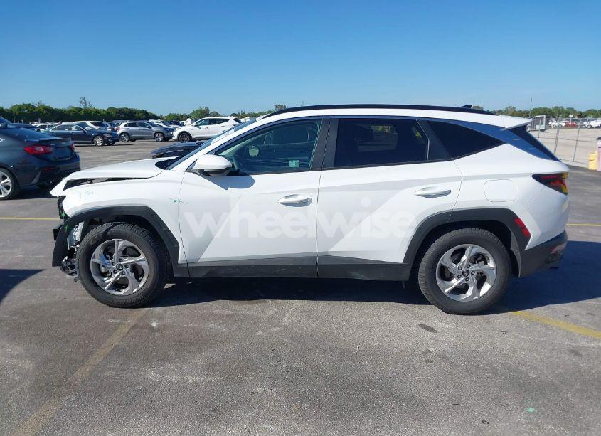Photo 15 of 2024 Hyundai Tucson SEL (VIN 5NMJB3DE6RH362482)