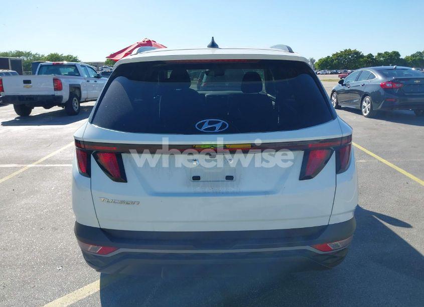 Photo 17 of 2024 Hyundai Tucson SEL (VIN 5NMJB3DE6RH362482)