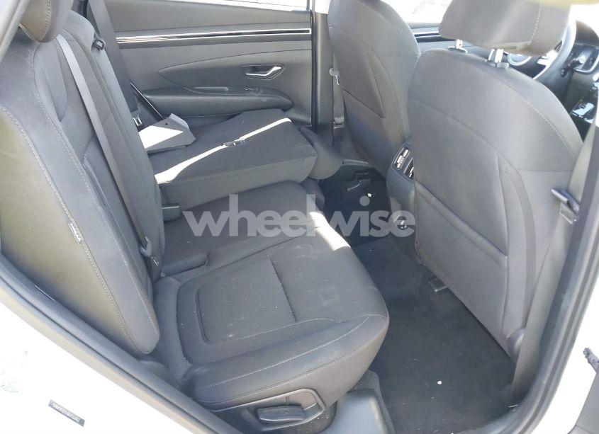 Photo 8 of 2024 Hyundai Tucson SEL (VIN 5NMJB3DE6RH362482)