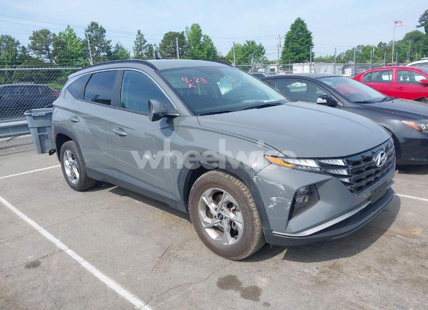 2024 Hyundai Tucson SEL (VIN 5NMJB3DE6RH390623) main photo