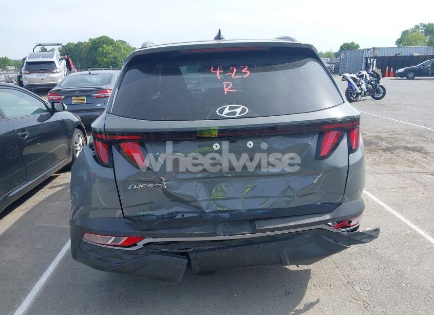 Photo 16 of 2024 Hyundai Tucson SEL (VIN 5NMJB3DE6RH390623)