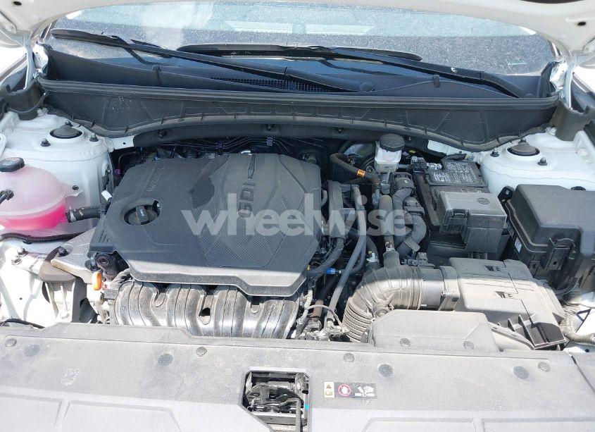 Photo 10 of 2025 Hyundai Tucson SEL (VIN 5NMJB3DE6SH461535)