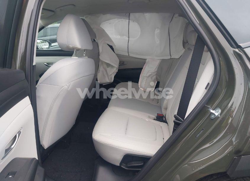 Photo 8 of 2025 Hyundai Tucson SEL (VIN 5NMJB3DE6SH508966)