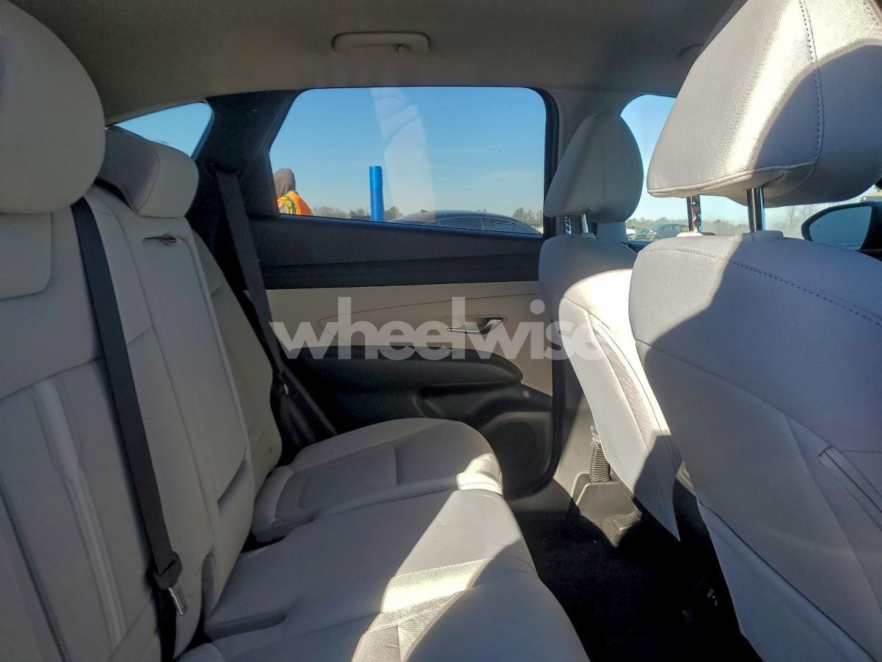 Photo 11 of 2025 HYUNDAI TUCSON SEL (VIN 5NMJB3DE6SH577639)