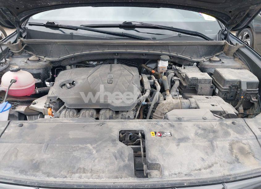 Photo 10 of 2024 Hyundai Tucson SEL (VIN 5NMJB3DE7RH311380)