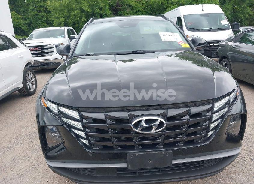 Photo 12 of 2024 Hyundai Tucson SEL (VIN 5NMJB3DE7RH311380)