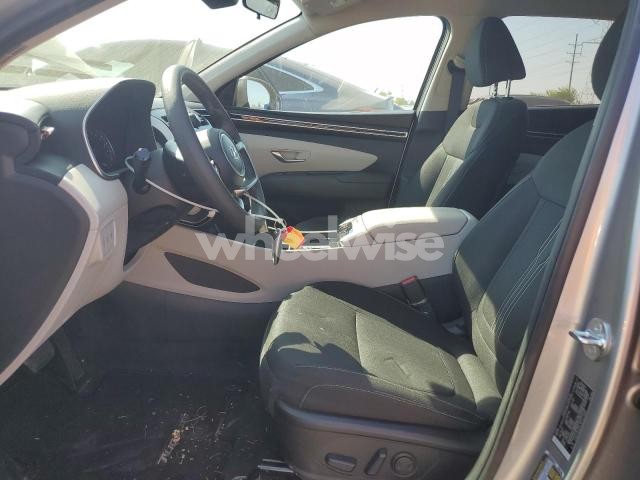 Photo 10 of 2024 HYUNDAI TUCSON SEL (VIN 5NMJB3DE7RH323089)