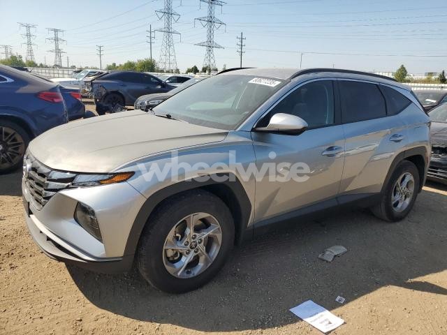 Photo 12 of 2024 HYUNDAI TUCSON SEL (VIN 5NMJB3DE7RH323089)