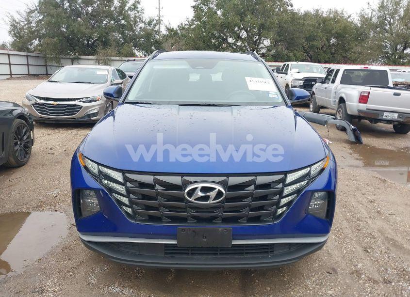 Photo 13 of 2024 Hyundai Tucson SEL (VIN 5NMJB3DE7RH330060)