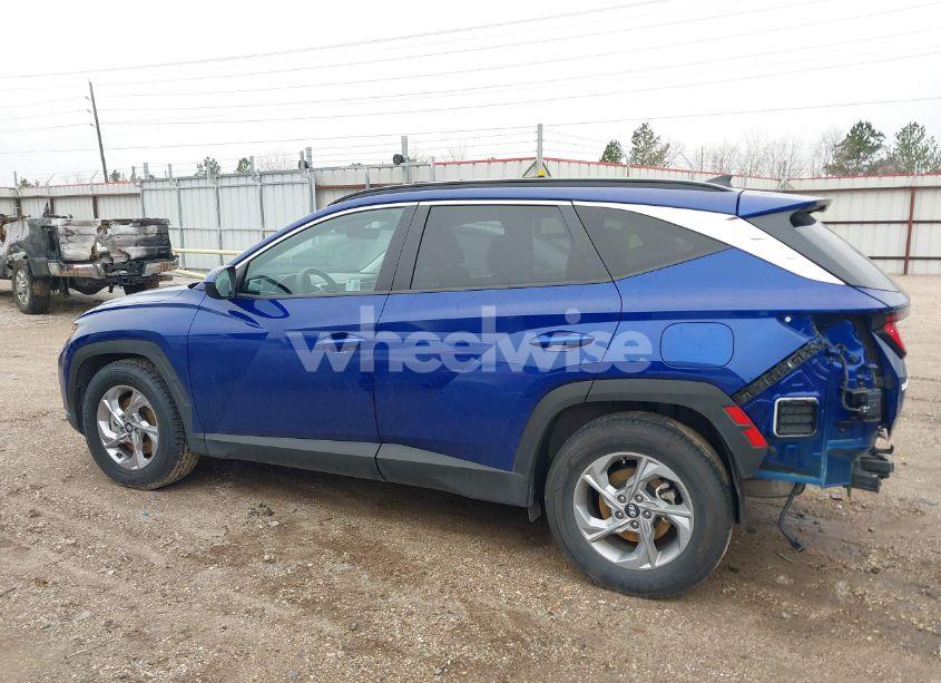 Photo 15 of 2024 Hyundai Tucson SEL (VIN 5NMJB3DE7RH330060)