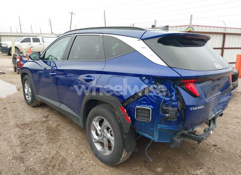 Photo 3 of 2024 Hyundai Tucson SEL (VIN 5NMJB3DE7RH330060)