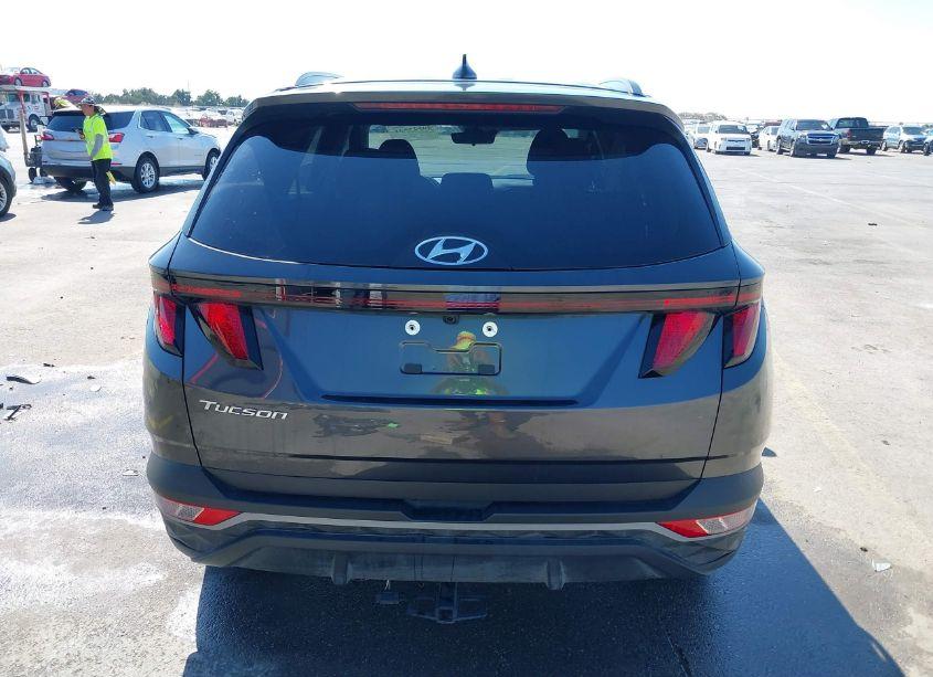Photo 17 of 2024 Hyundai Tucson SEL (VIN 5NMJB3DE7RH341947)