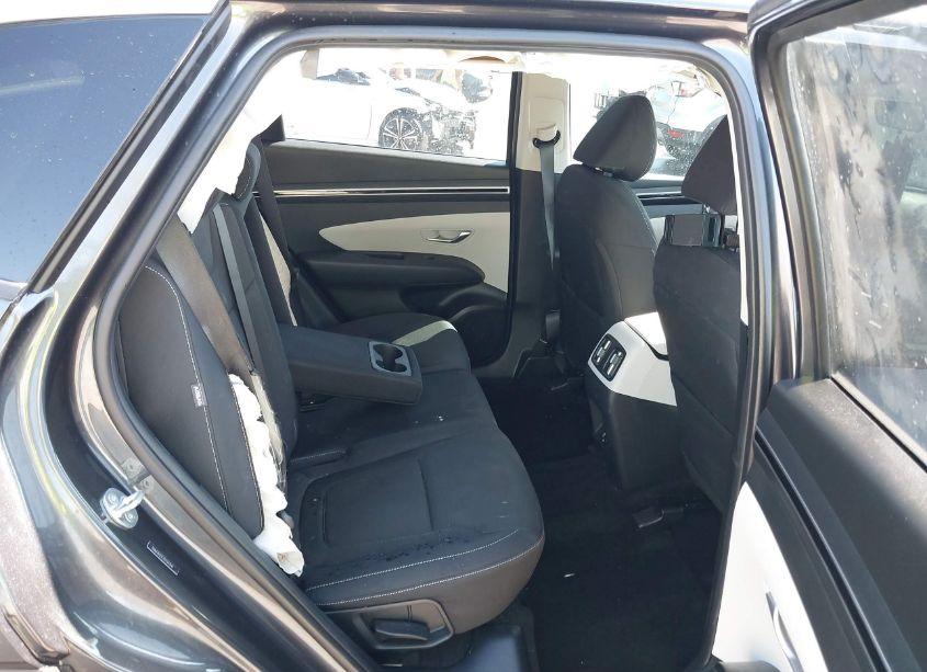 Photo 8 of 2024 Hyundai Tucson SEL (VIN 5NMJB3DE7RH341947)