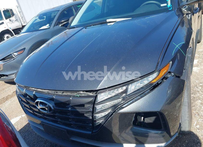 Photo 12 of 2024 Hyundai Tucson SEL (VIN 5NMJB3DE7RH346646)