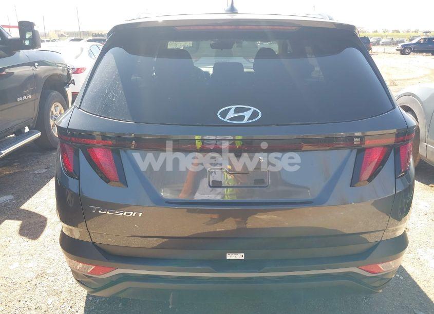 Photo 16 of 2024 Hyundai Tucson SEL (VIN 5NMJB3DE7RH346646)