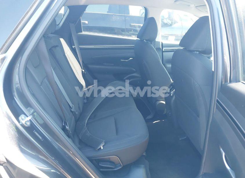 Photo 8 of 2024 Hyundai Tucson SEL (VIN 5NMJB3DE7RH346646)
