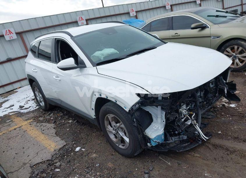 2024 Hyundai Tucson SEL (VIN 5NMJB3DE7RH372356) main photo