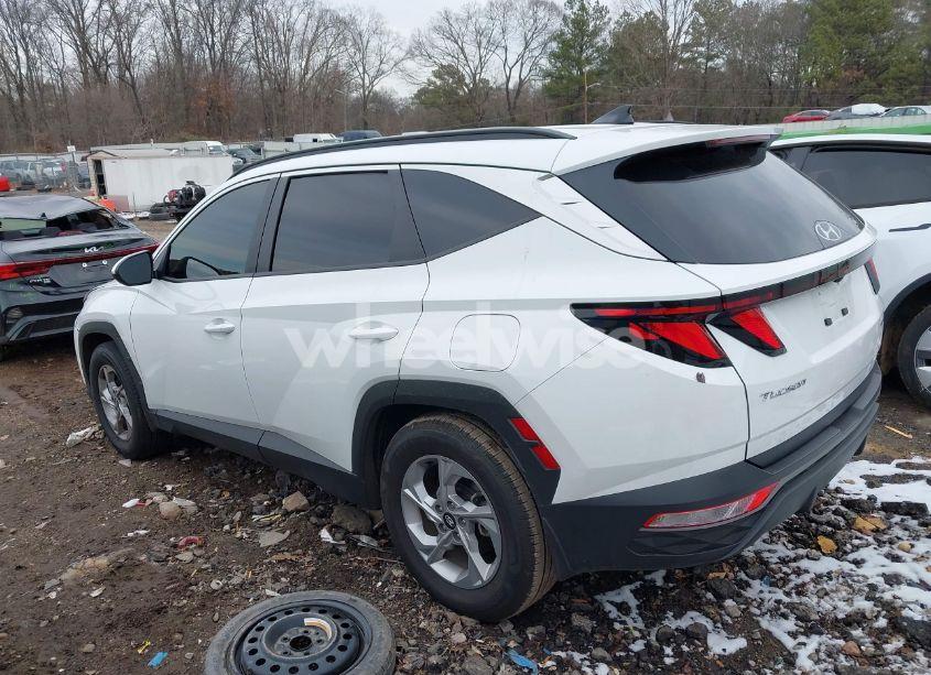 Photo 15 of 2024 Hyundai Tucson SEL (VIN 5NMJB3DE7RH372356)
