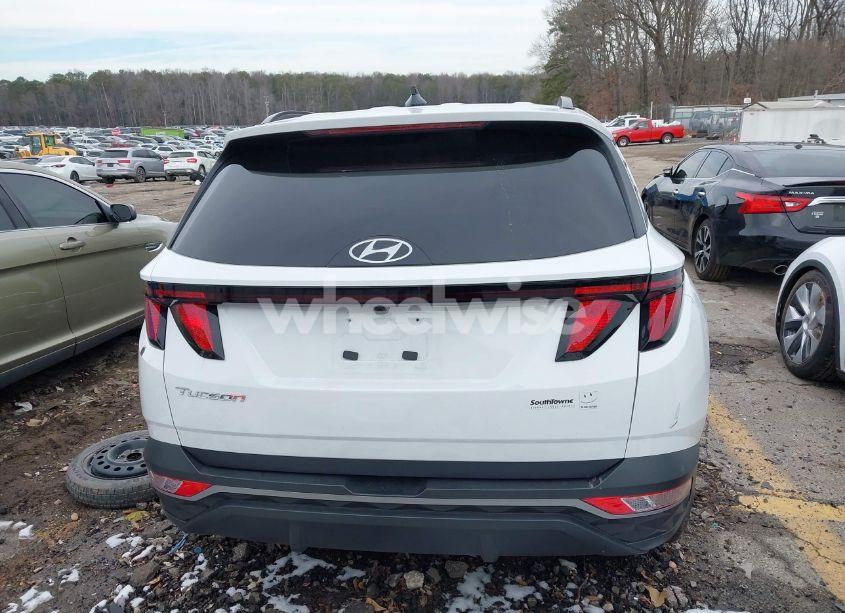 Photo 17 of 2024 Hyundai Tucson SEL (VIN 5NMJB3DE7RH372356)