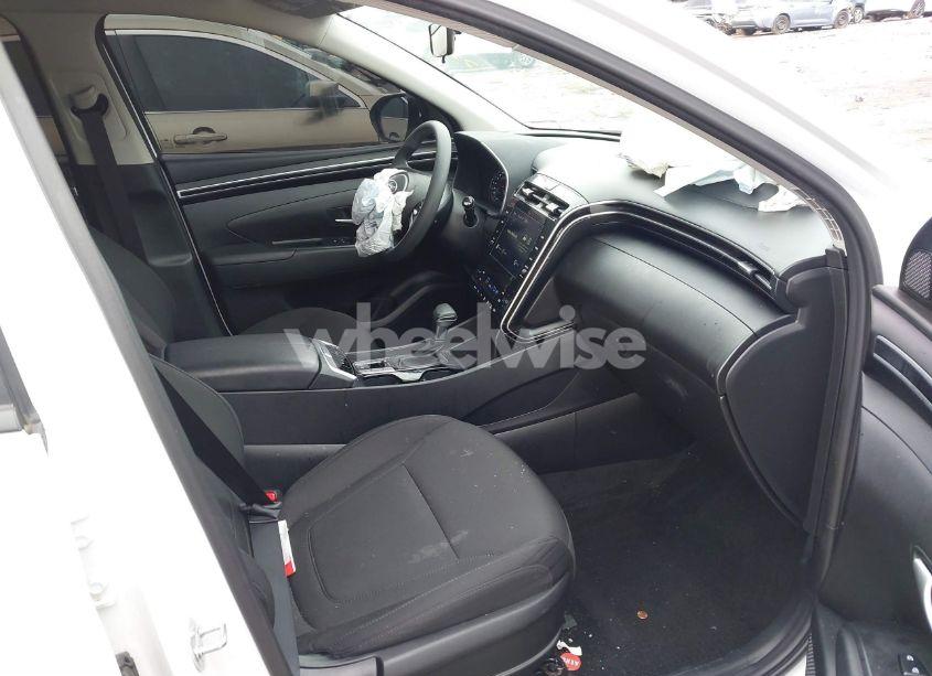 Photo 5 of 2024 Hyundai Tucson SEL (VIN 5NMJB3DE7RH372356)