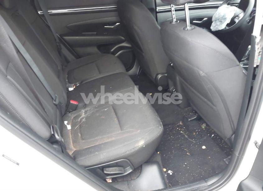 Photo 8 of 2024 Hyundai Tucson SEL (VIN 5NMJB3DE7RH372356)