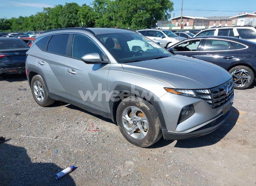 2024 Hyundai Tucson SEL (VIN 5NMJB3DE7RH391103) main photo