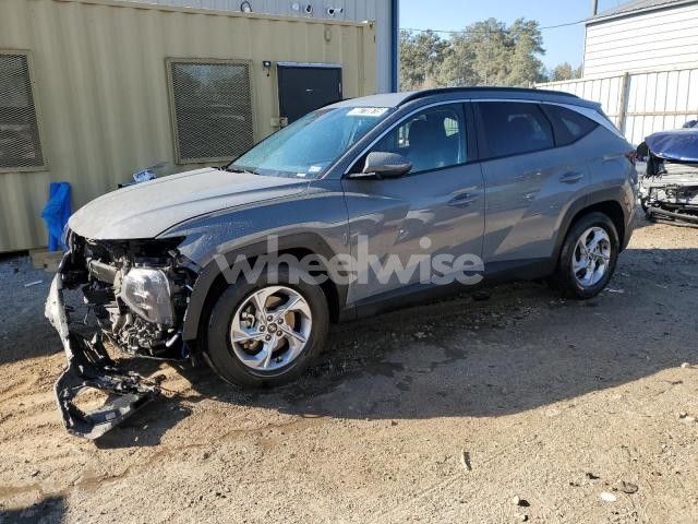 Photo 13 of 2024 HYUNDAI TUCSON SEL (VIN 5NMJB3DE7RH391439)
